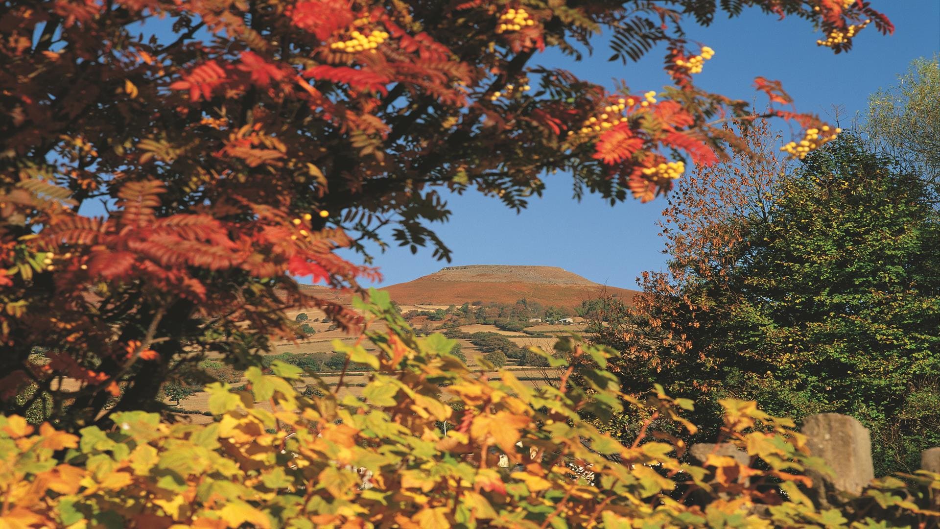 Brecon